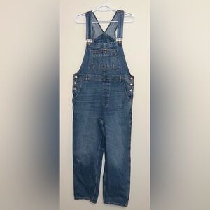 Full length denim overalls from American eagle in a size Large.